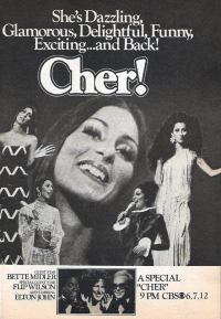 Cher-show-ad